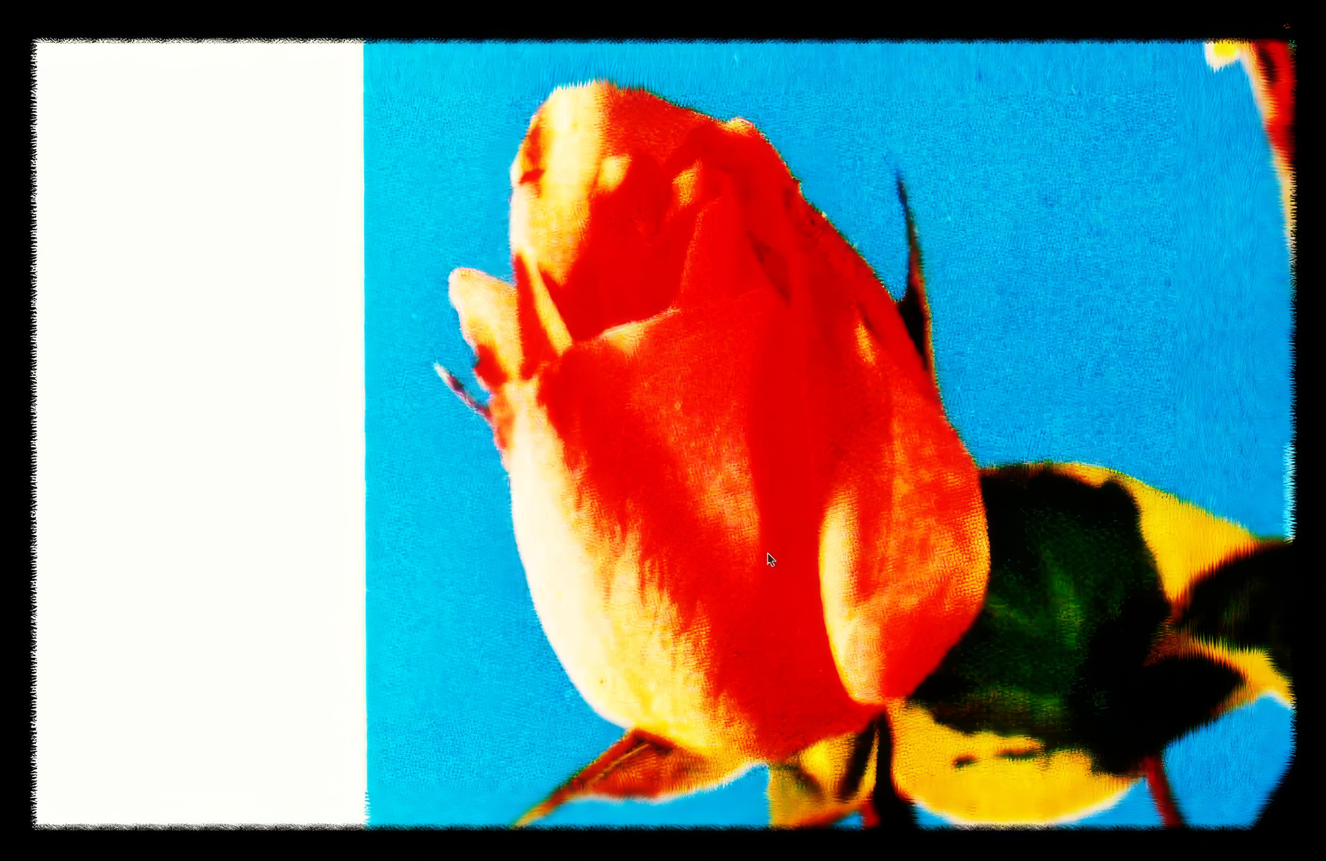 Pera Müzesi'nin yeni sergisi "Ters Yüz PƎRⱯ" açıldı