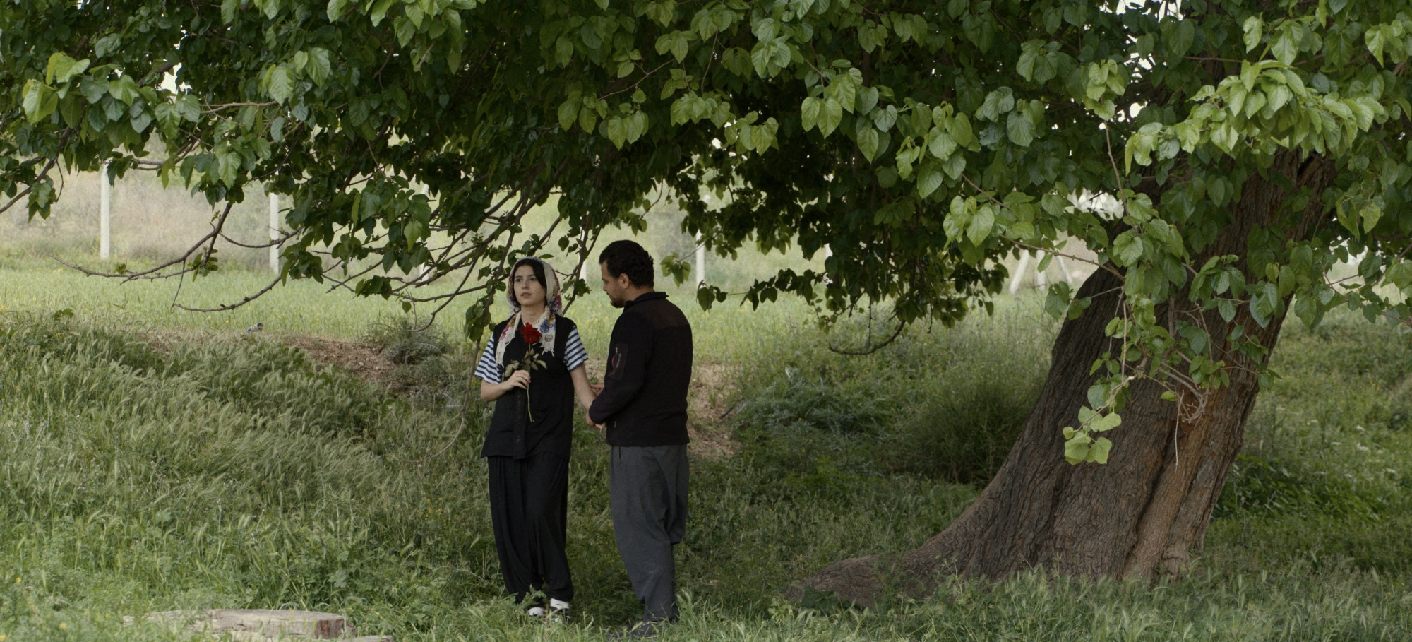 "Beyaz Karlar Altında" Altın Koza Yolcusu