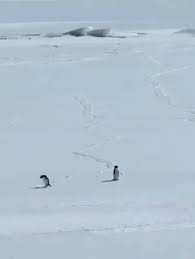 Yangın yerinde kavramlar